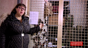 Why did the the entrance have armed guards?